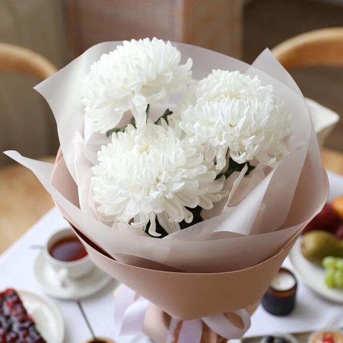 Белые одноголовые хризантемы 3шт