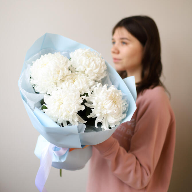 Белые одноголовые хризантемы 5шт