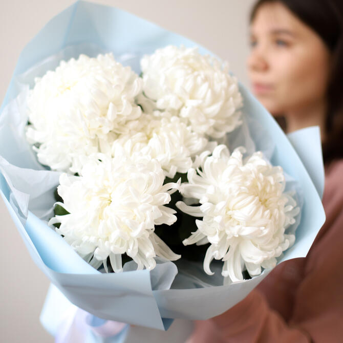 Белые одноголовые хризантемы 5шт