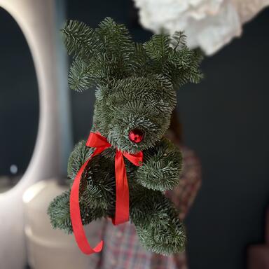 Олень Рудольф из нобилиса 