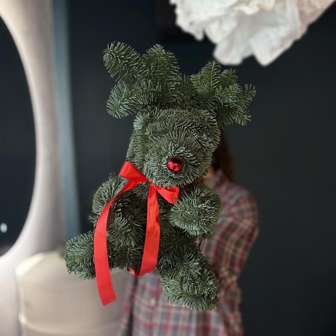 Олень Рудольф из нобилиса 