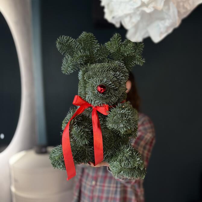 Олень Рудольф из нобилиса 