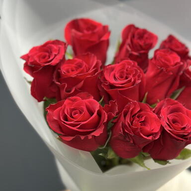 Красные розы 11 шт (40 см)