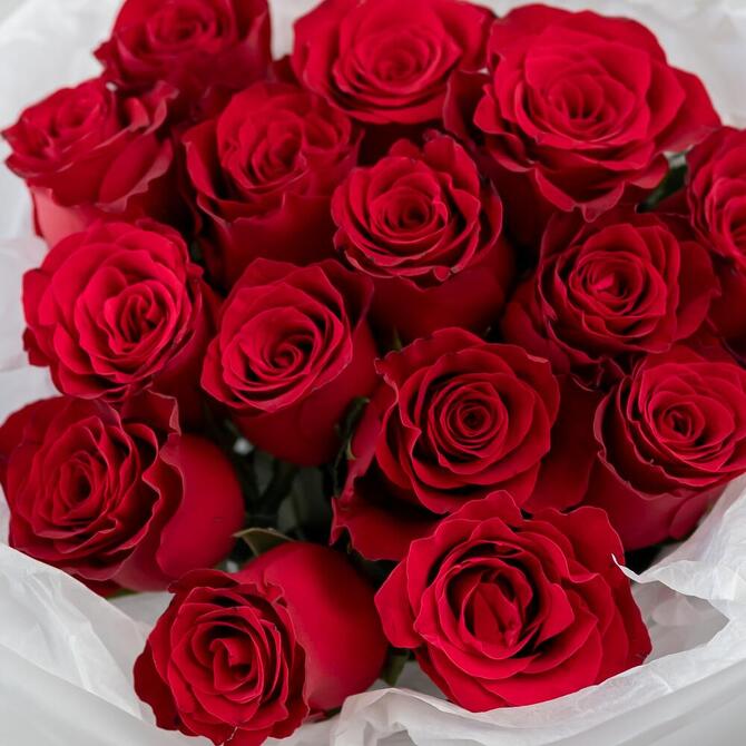 Красные розы 15 шт (40 см)