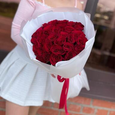 Красные розы 25 шт (40 см)
