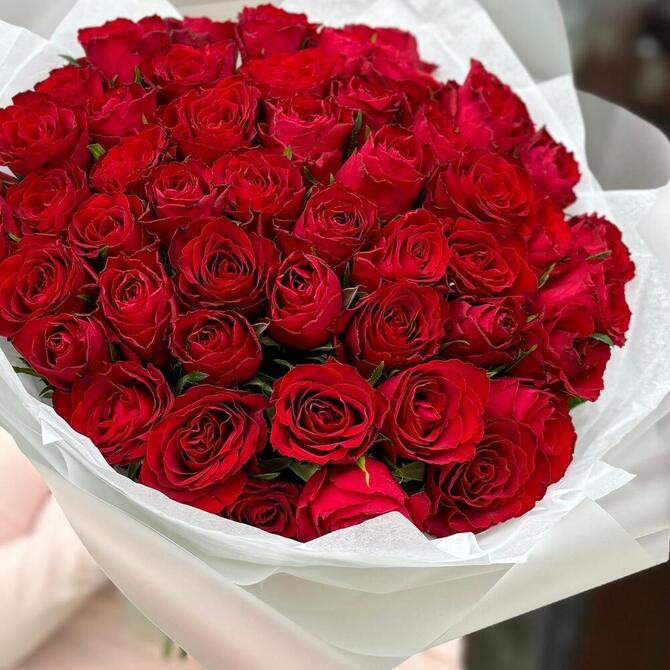 Красные розы 51 шт (40 см)