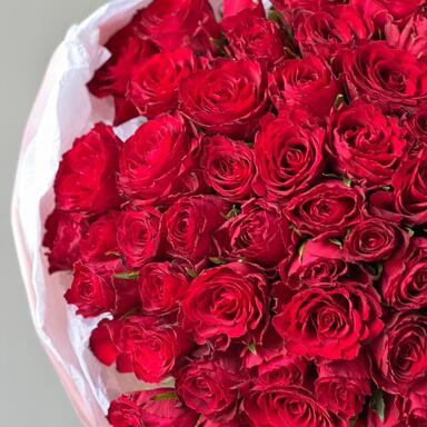 Красные розы 75 шт (40 см)