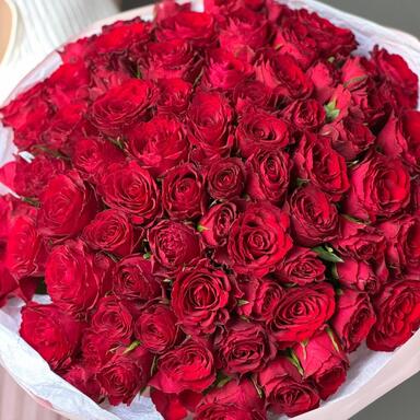 Красные розы 75 шт (40 см)
