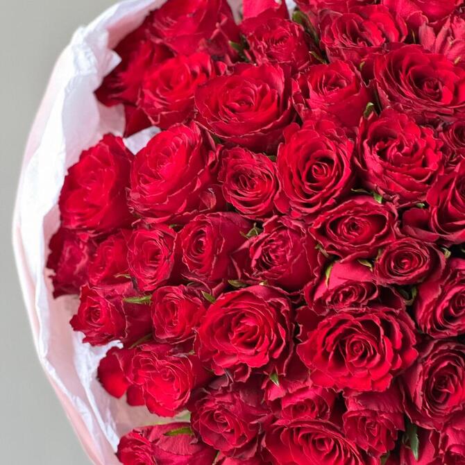 Красные розы 75 шт (40 см)