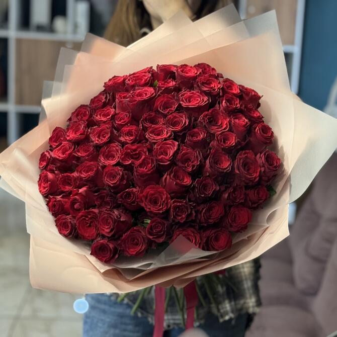 Красные розы 75 шт (40 см)