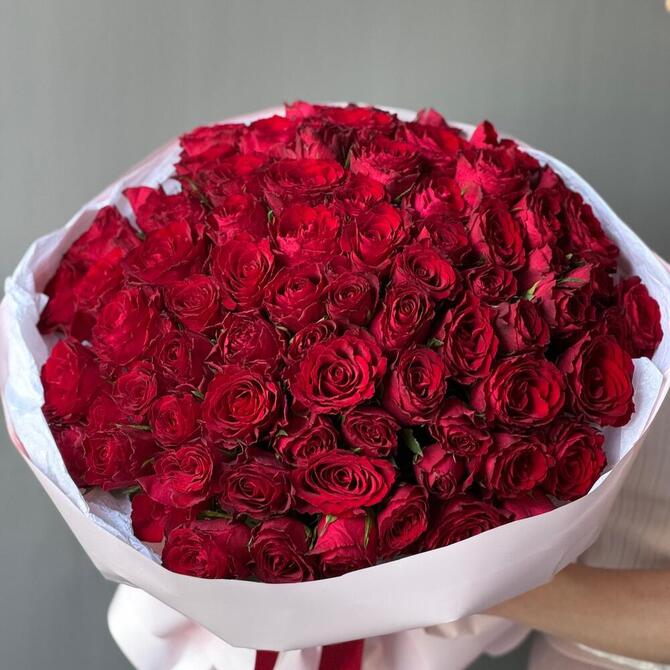 Красные розы 75 шт (40 см)
