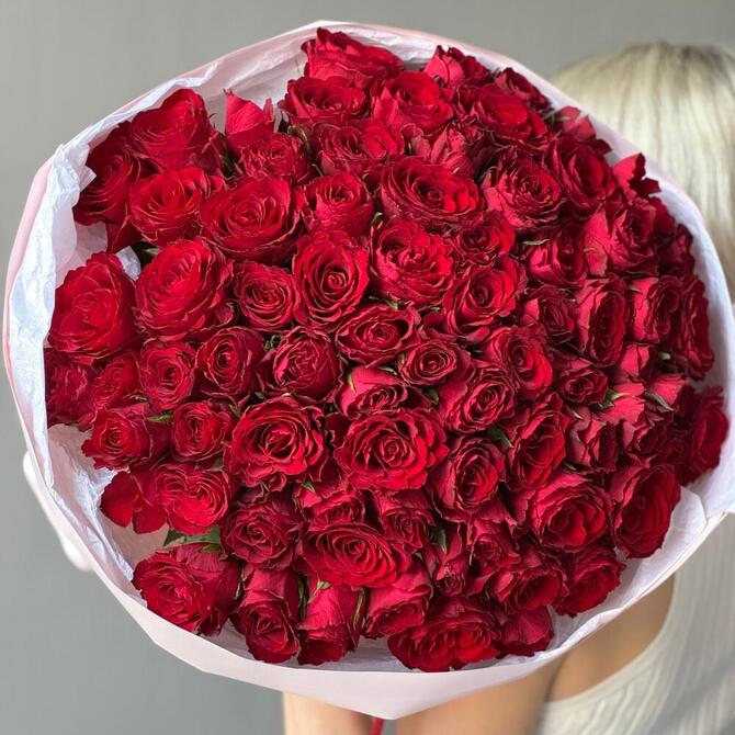 Красные розы 75 шт (40 см)