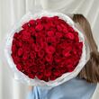 Красные розы 101 шт (40 см)
