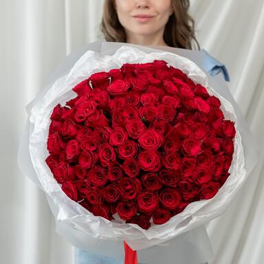 Красные розы 101 шт (40 см)