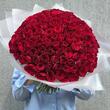 Красные розы 151 шт (40 см)
