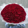 Красные розы 151 шт (40 см)