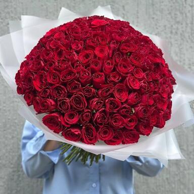 Красные розы 151 шт (40 см)