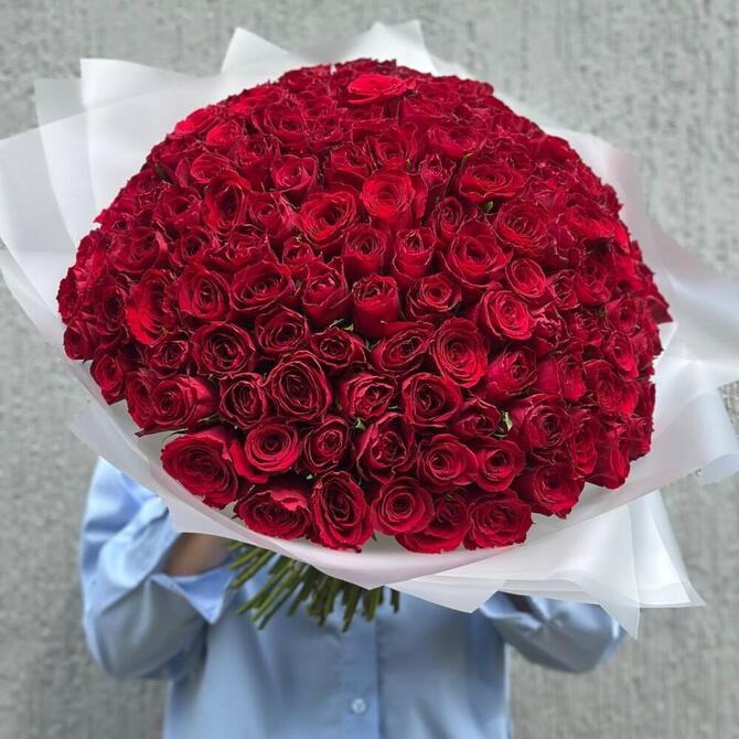 Красные розы 151 шт (40 см)