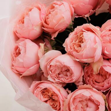 Кустовые пионовидные розы "Julietta" 5шт