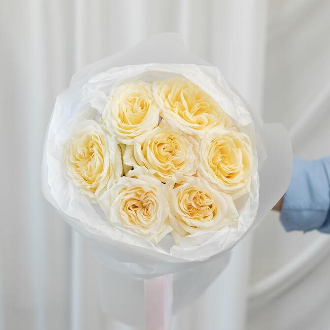 Пионовидная Роза «Candlelight» 7шт