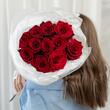 Красные розы «Explorer» 11шт