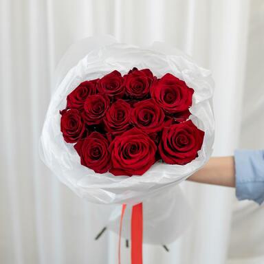 Красные розы «Explorer» 11шт