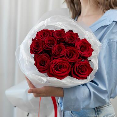 Красные розы «Explorer» 11шт