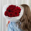 Красные розы «Explorer» 7шт