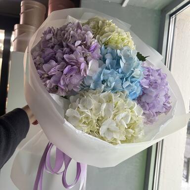 5 гортензий микс 