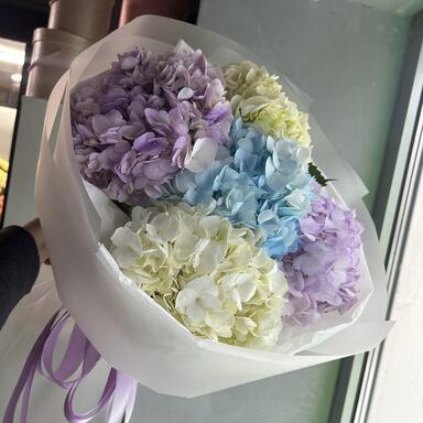 5 гортензий микс 