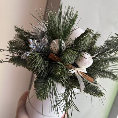 Зимняя композиция в коробке «Snow»