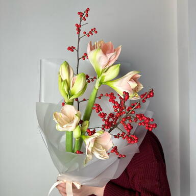 Амариллисы и илекс