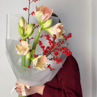 Амариллисы и илекс