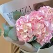 Монобукет из розовой гортензии с эвкалиптом