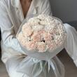 Диантусы кремовые 25шт