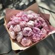 Пионы Сара Бернар 25шт