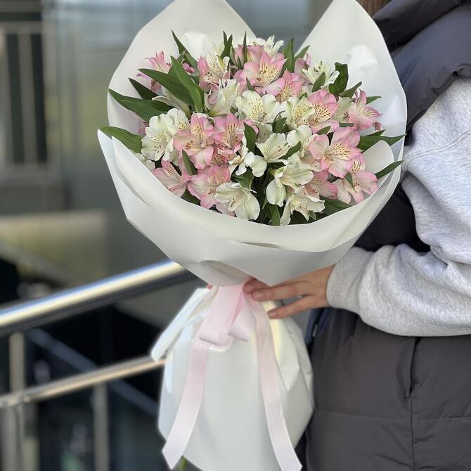 Альстромерии MIX 11шт