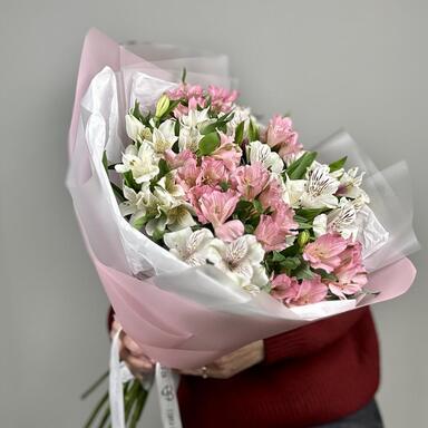 Альстромерии MIX 15шт