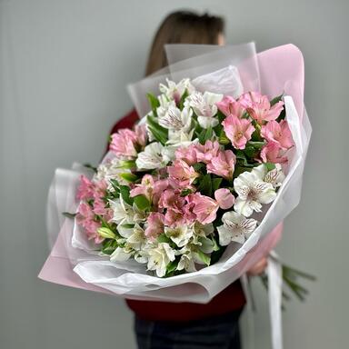 Альстромерии MIX 15шт