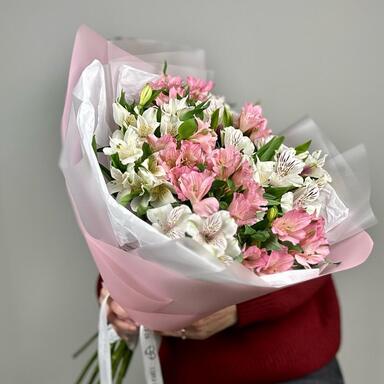 Альстромерии MIX 15шт